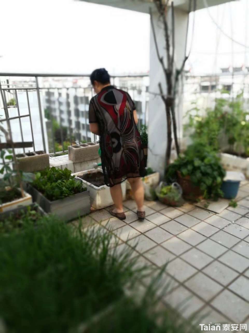 20190702_873967_1562017985050.jpg