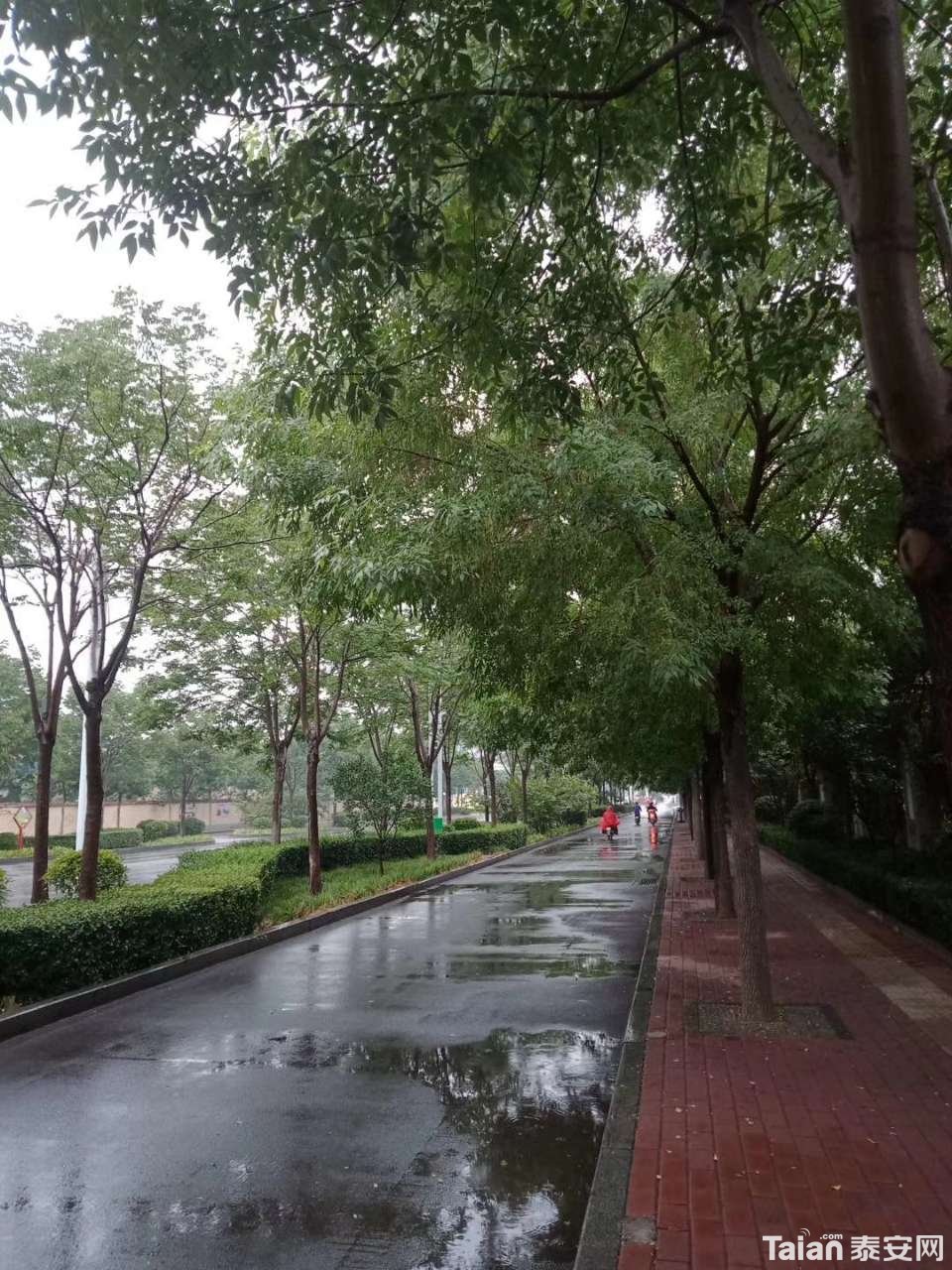 20190706_873967_1562376293591.jpg
