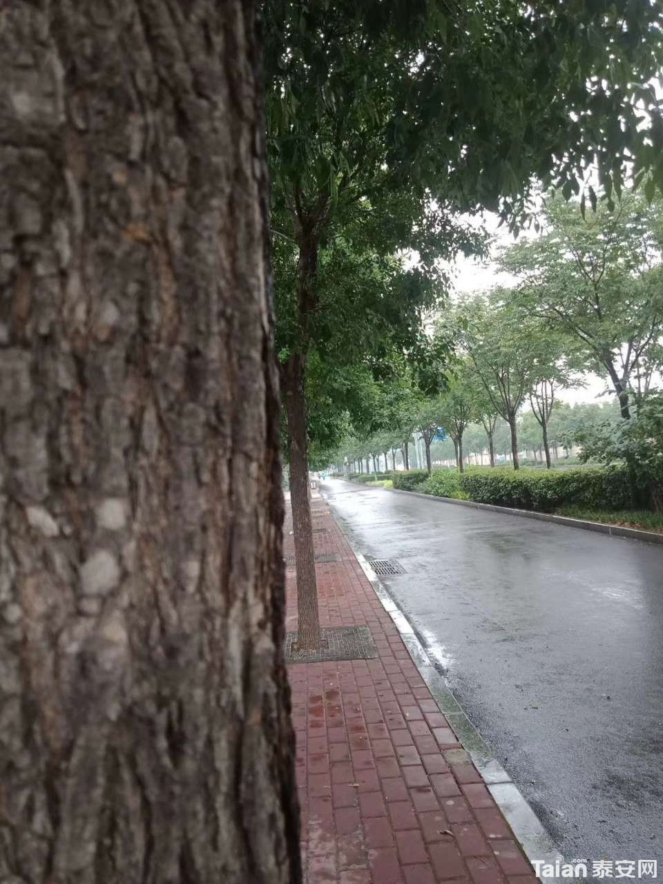 20190706_873967_1562376293422.jpg