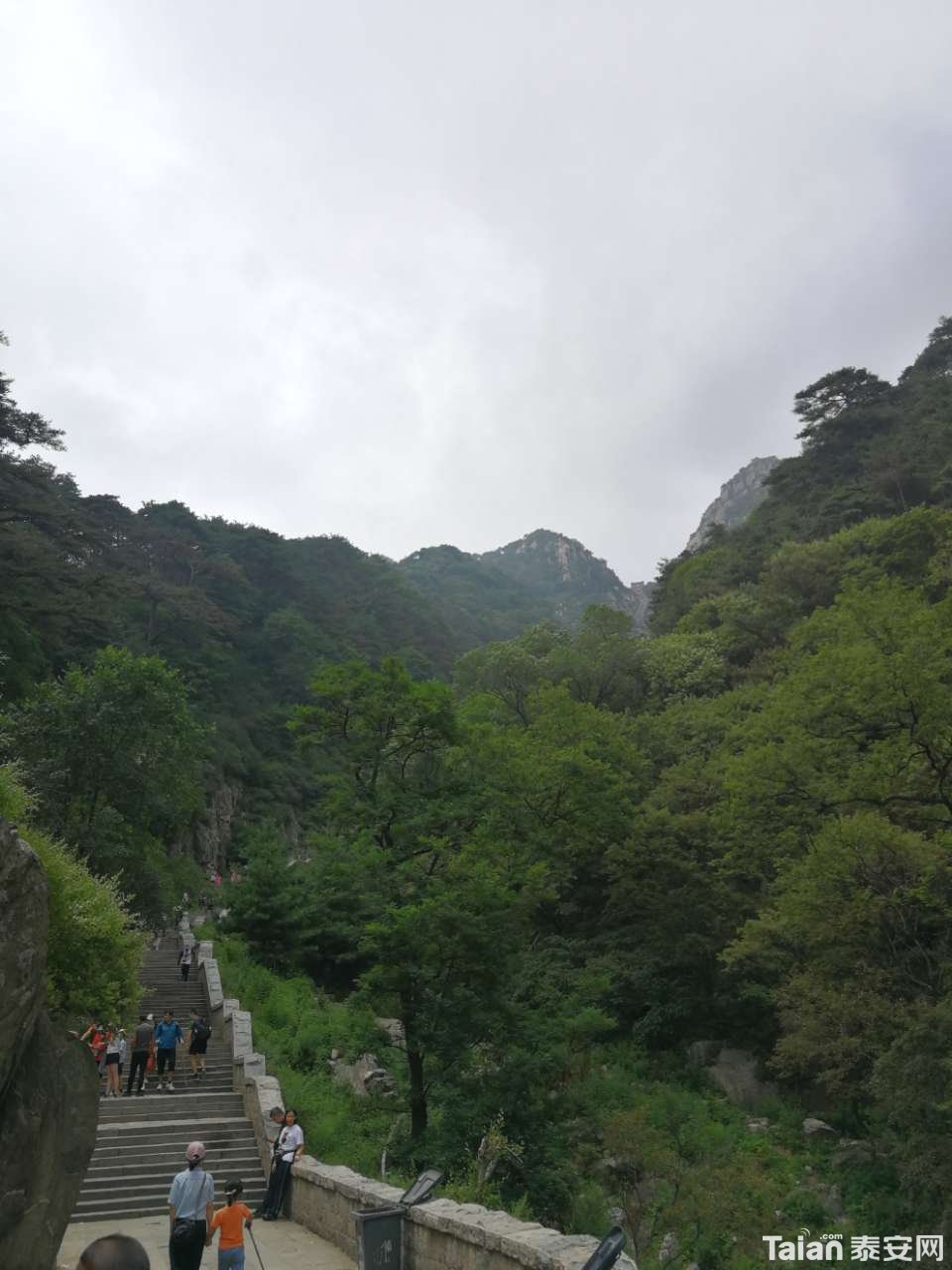 20190707_844987_1562488055687.jpg