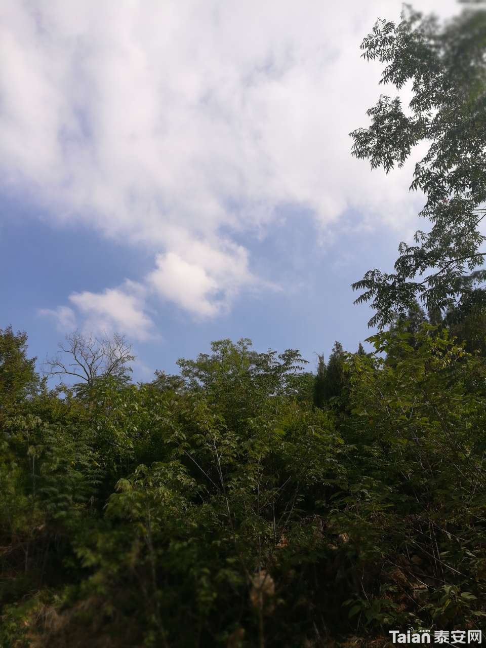 20190708_873967_1562561900253.jpg