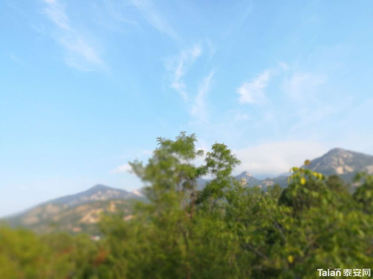 20190708_873967_1562561900727.jpg