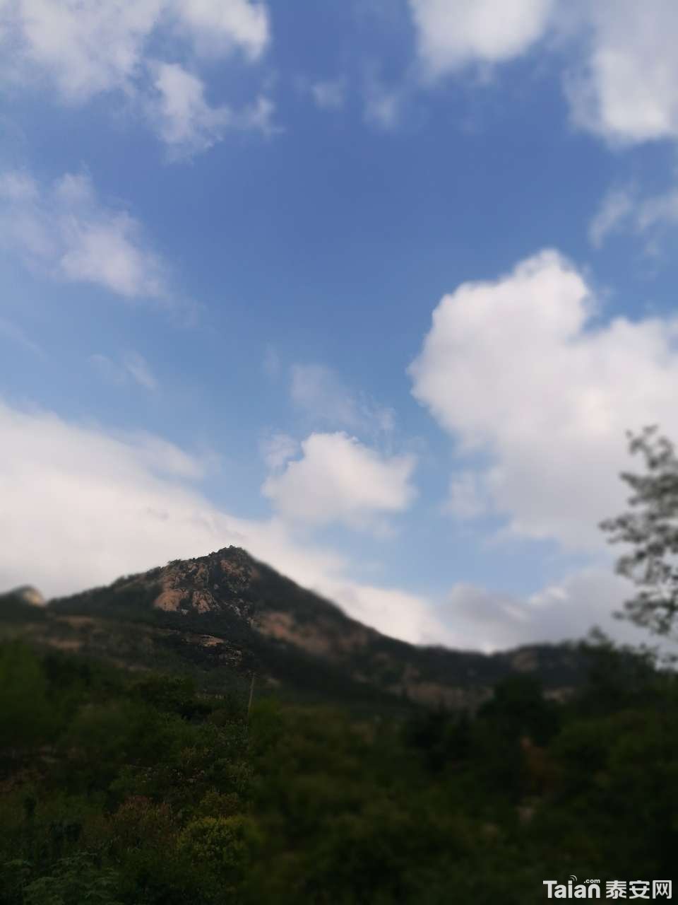 20190708_873967_1562561900003.jpg