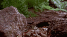 20190712_844987_1562920256351.gif