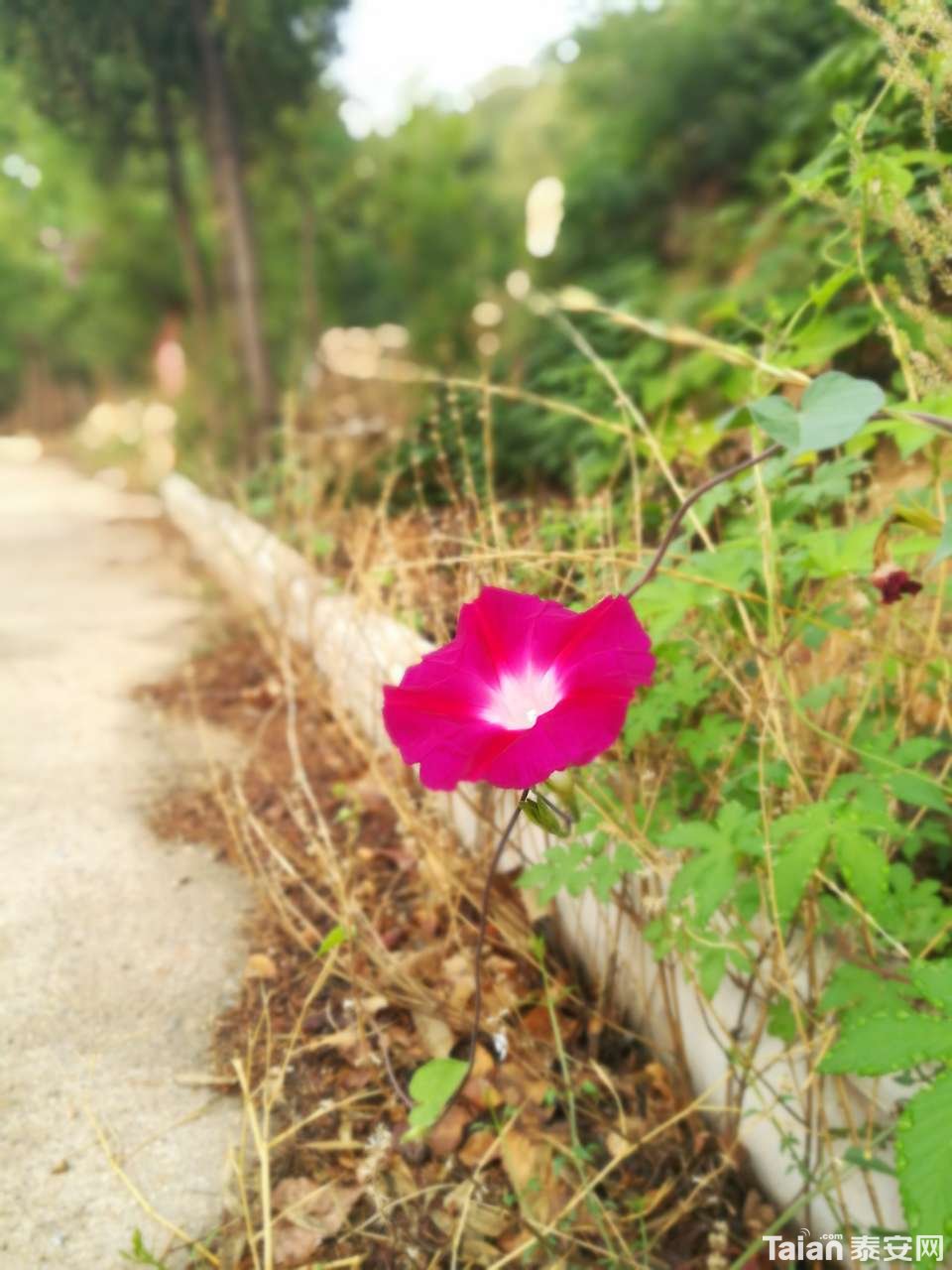 20190713_873967_1563018597098.jpg