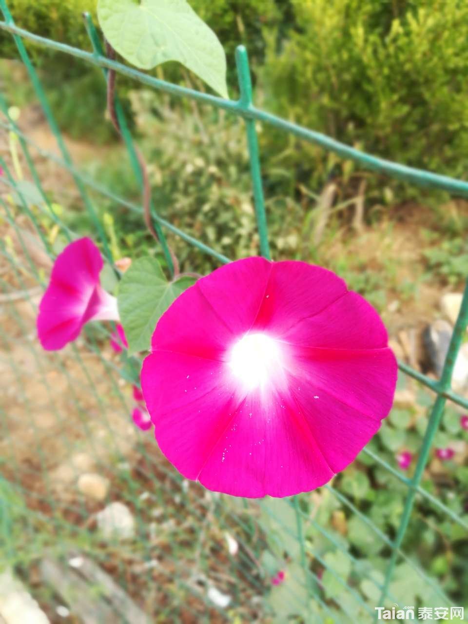 20190713_873967_1563018597336.jpg