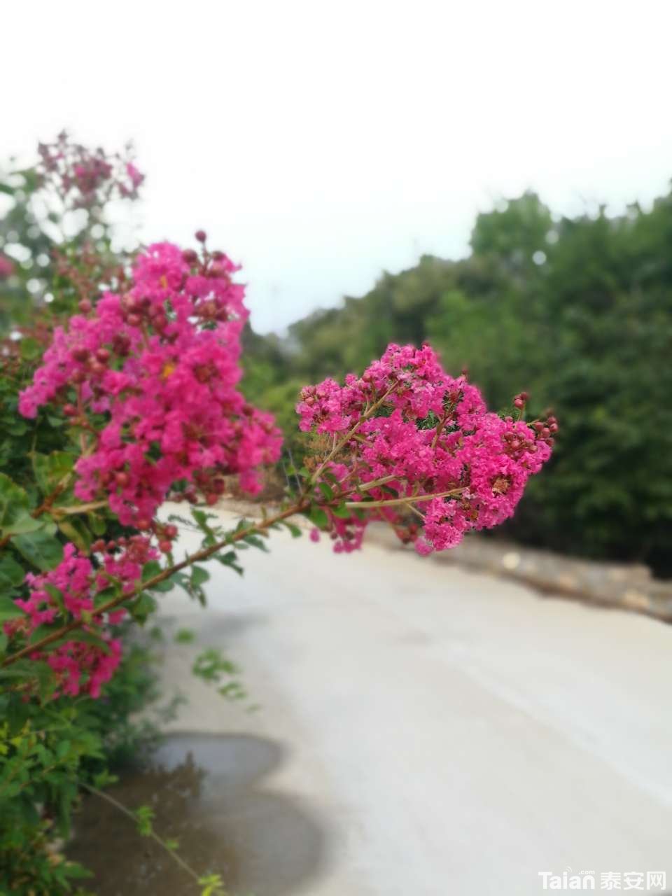 20190713_873967_1563018594618.jpg