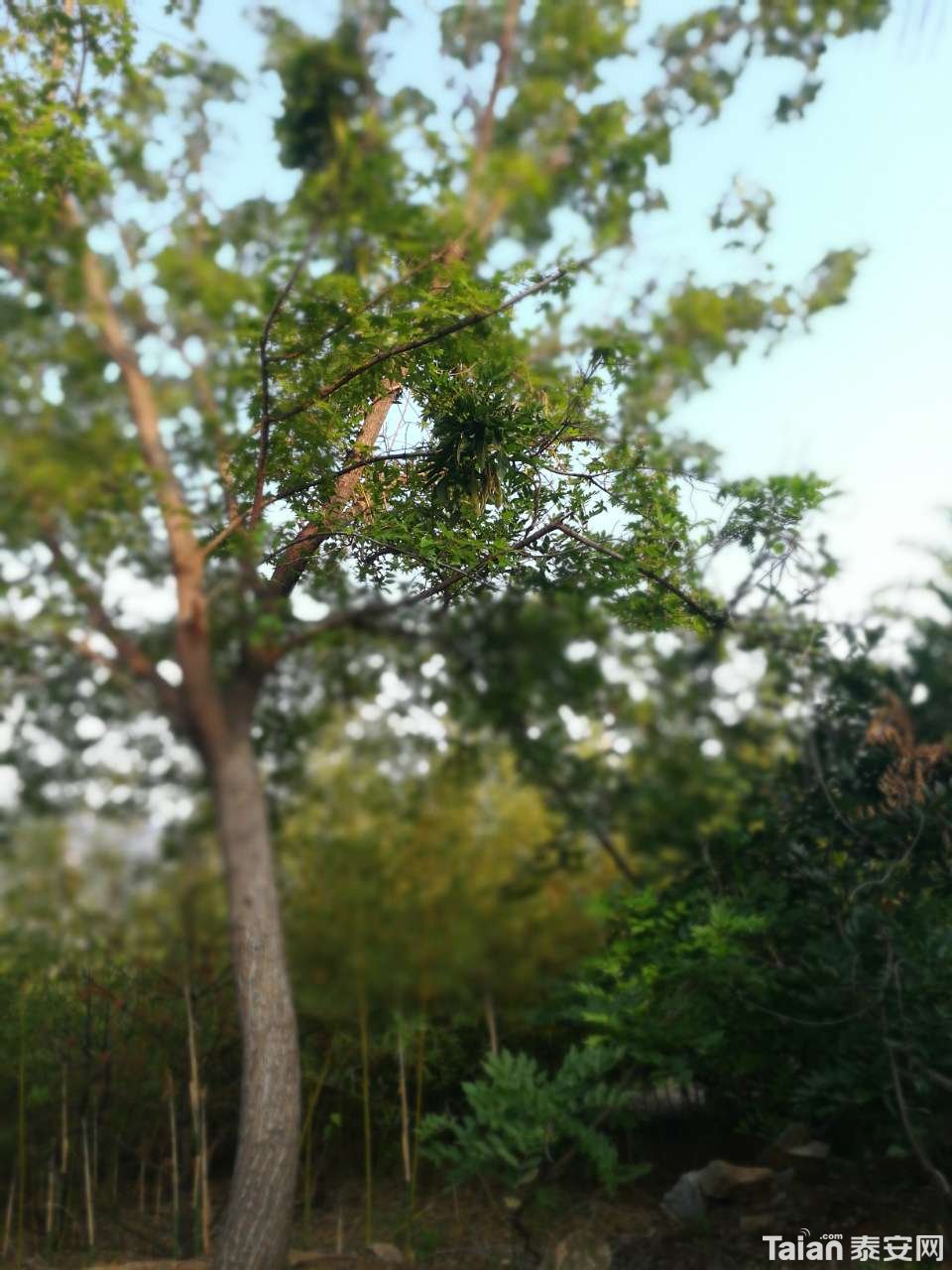 20190715_873967_1563197220655.jpg