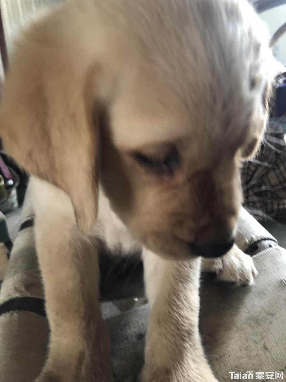201907168930691563237738077306.jpg