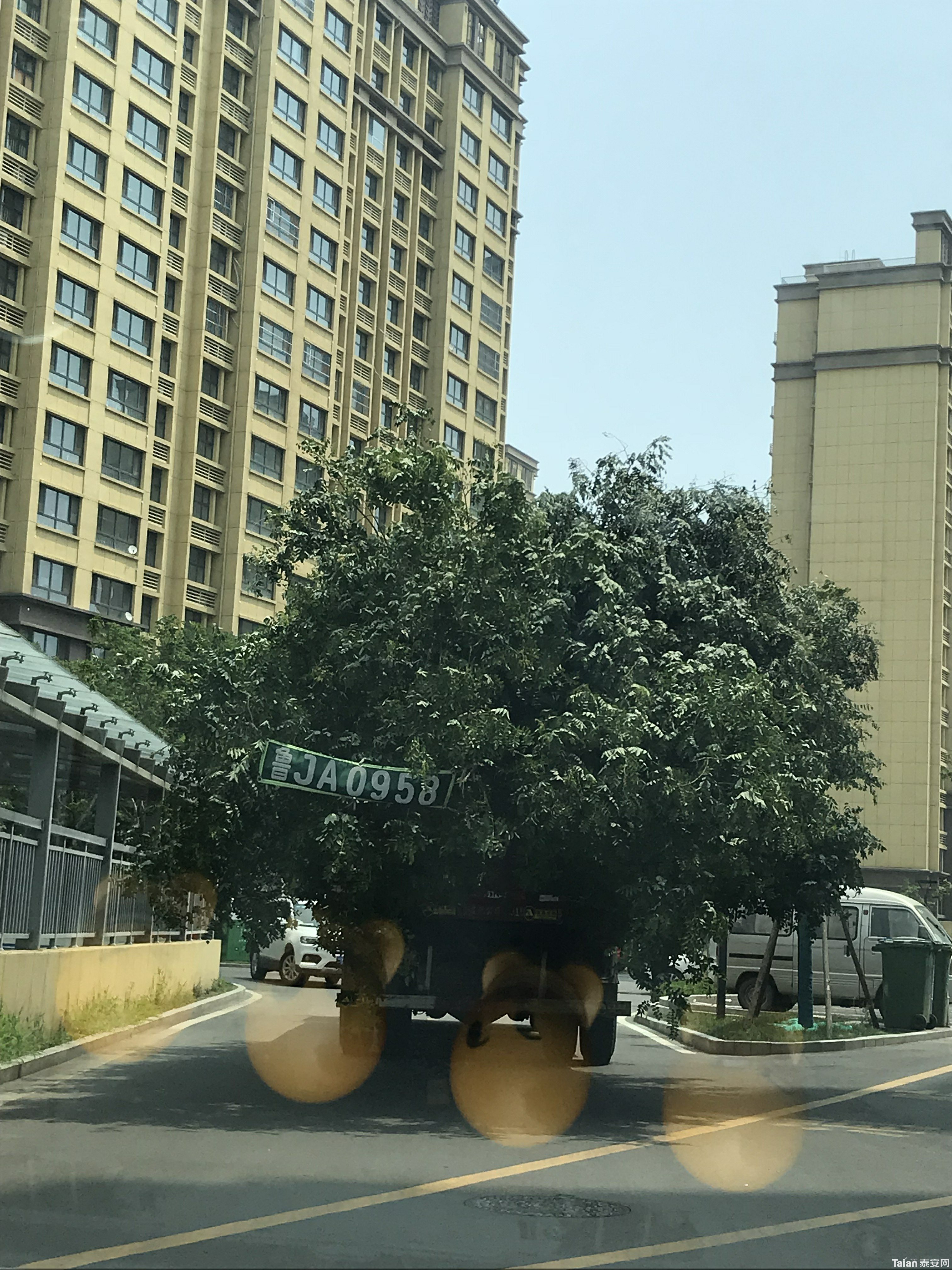 ΢��ͼƬ_20190718133015~1.jpg