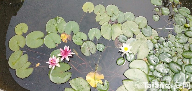 IMG20190716130548.jpg