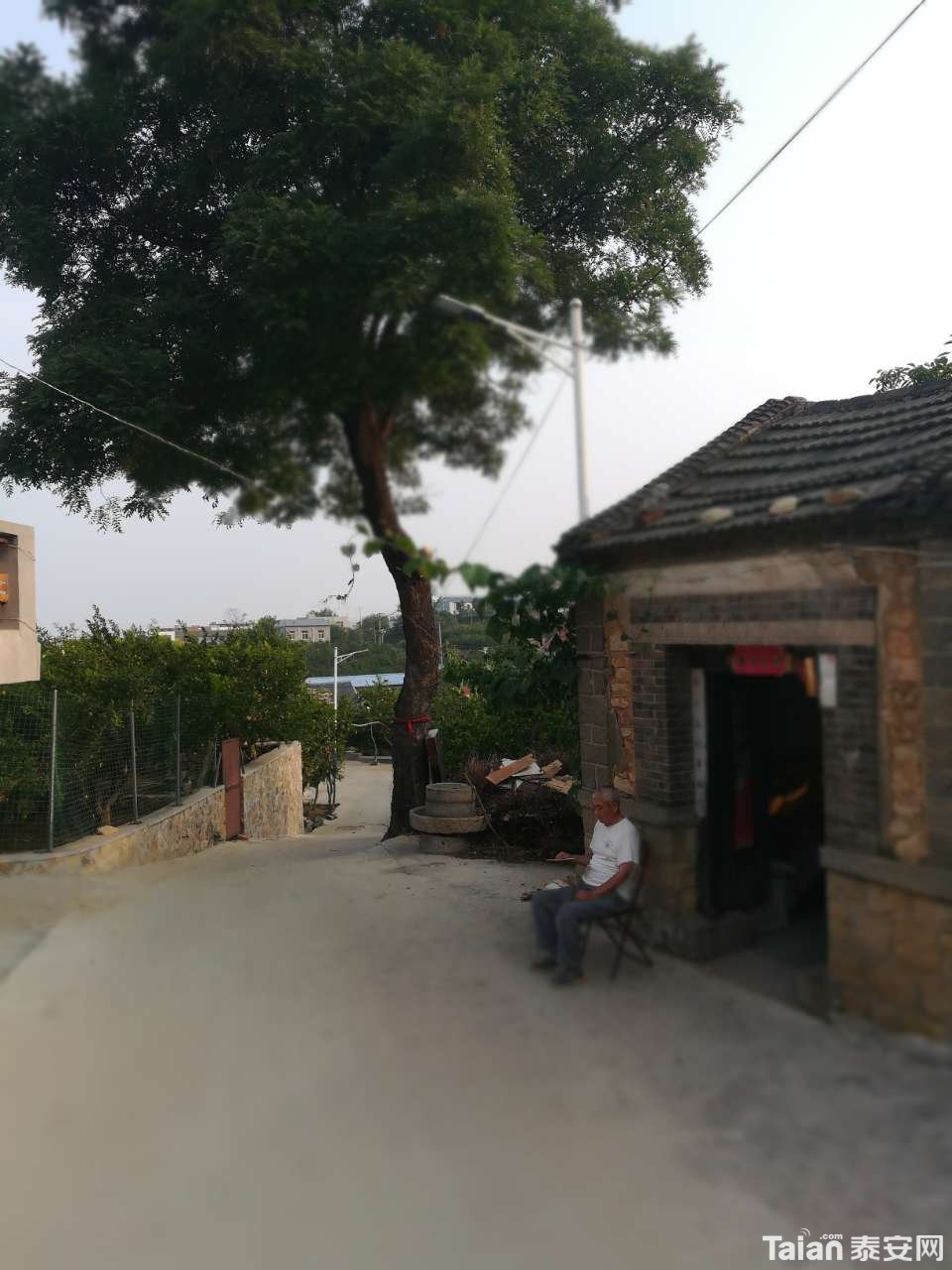 20190721_873967_1563716865997.jpg