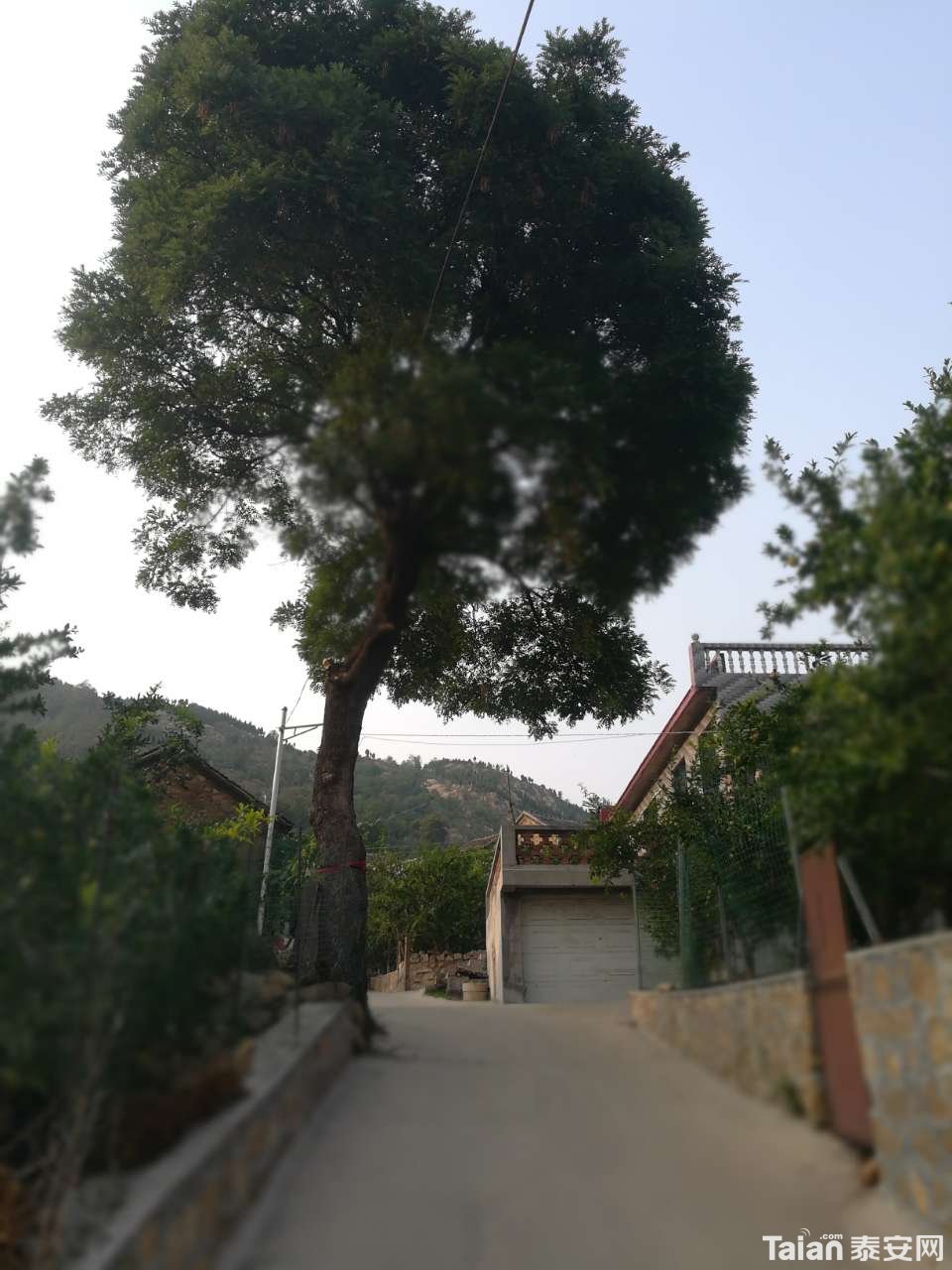 20190721_873967_1563716865731.jpg