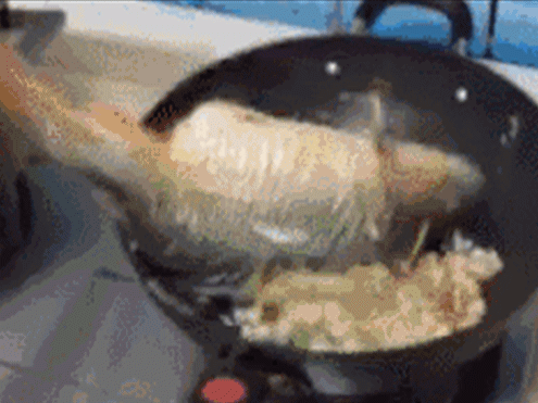 20190722_844987_1563763124487.gif