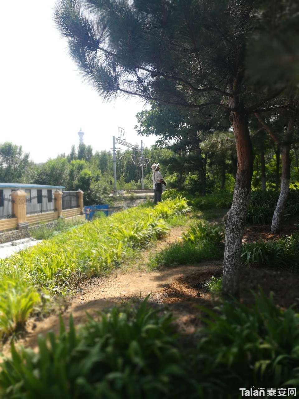 20190724_873967_1563963124729.jpg