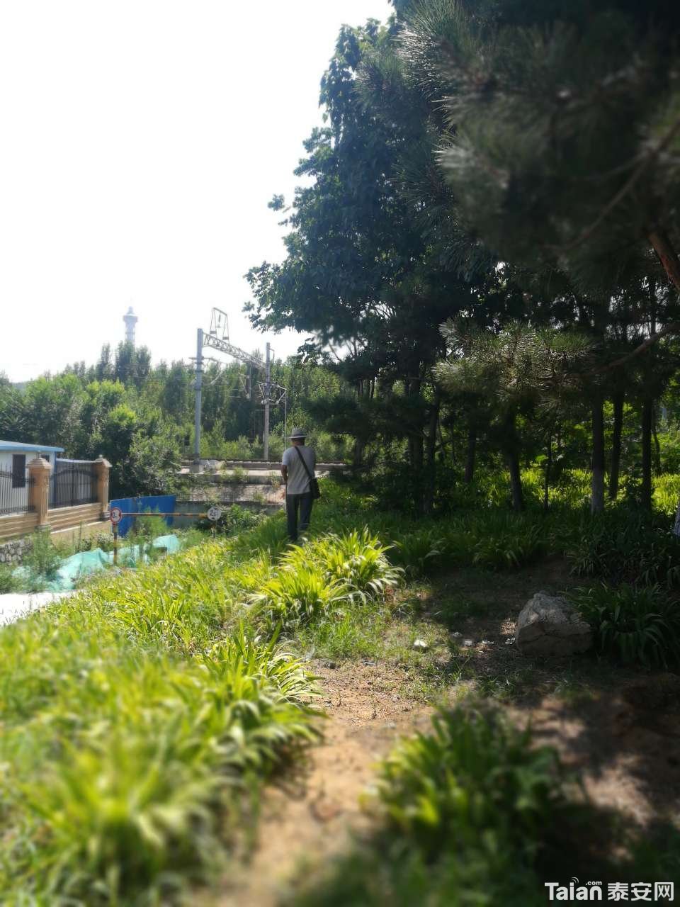 20190724_873967_1563963124444.jpg