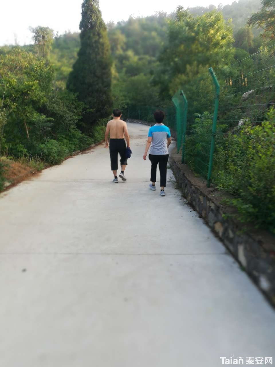 20190726_873967_1564099171559.jpg