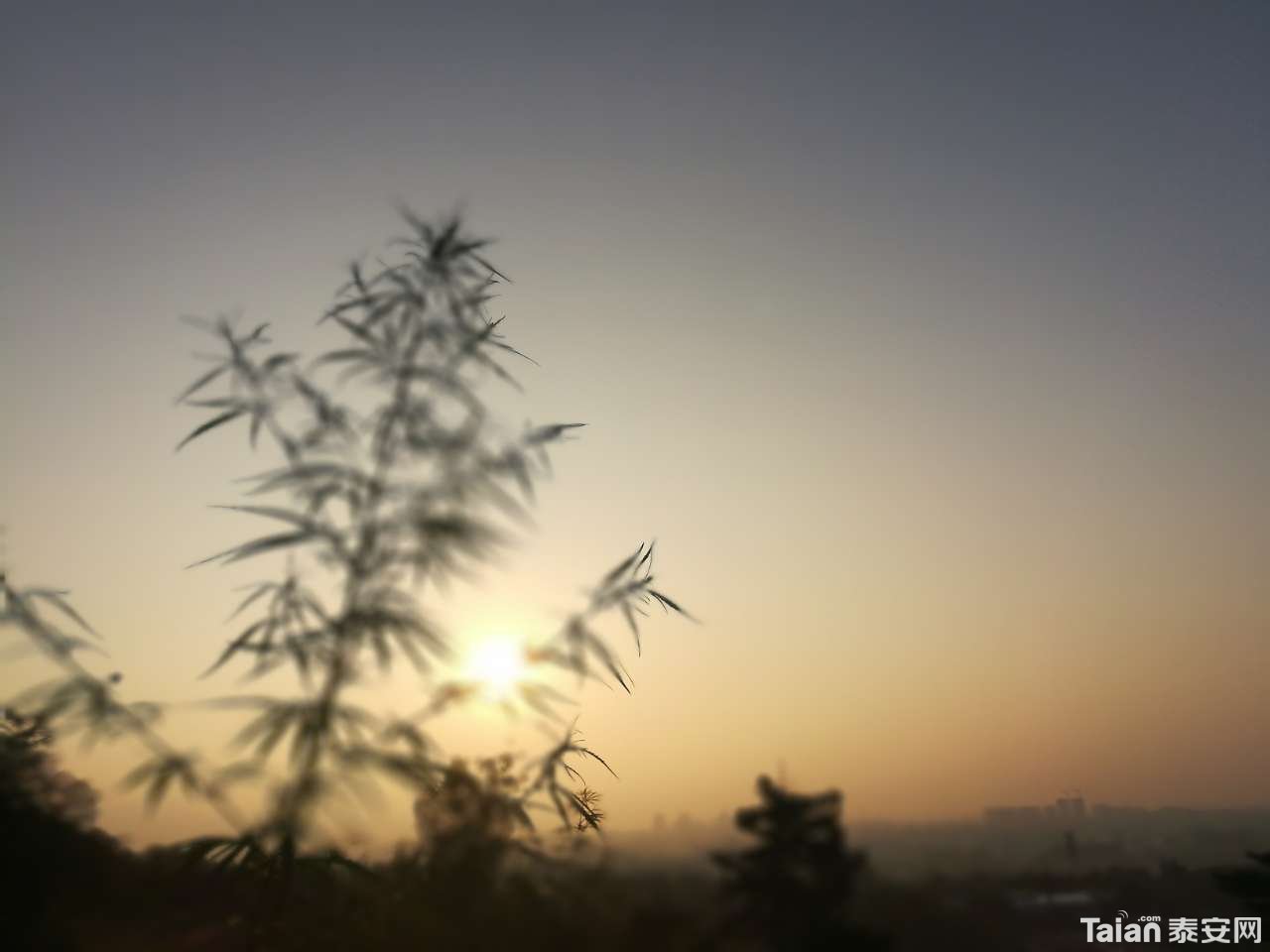 20190726_873967_1564099172141.jpg
