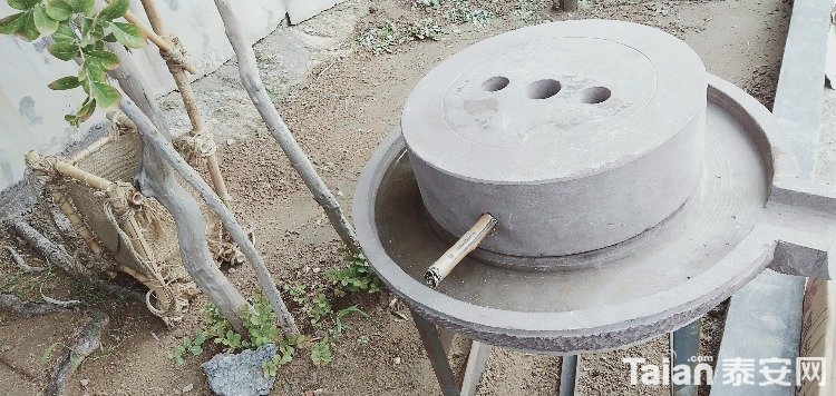 IMG20190803082133.jpg