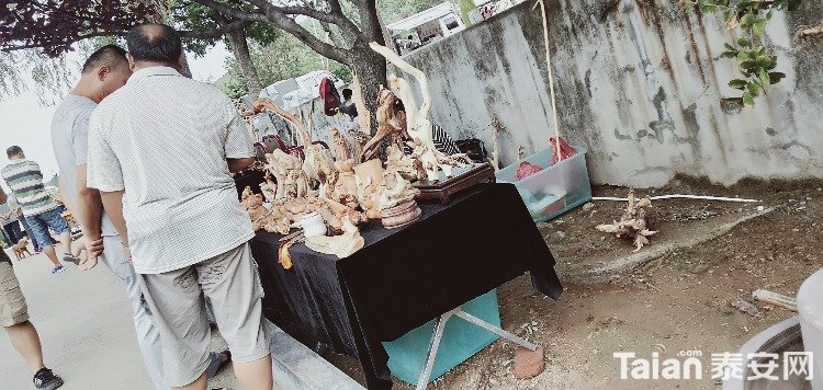 IMG20190803082218.jpg
