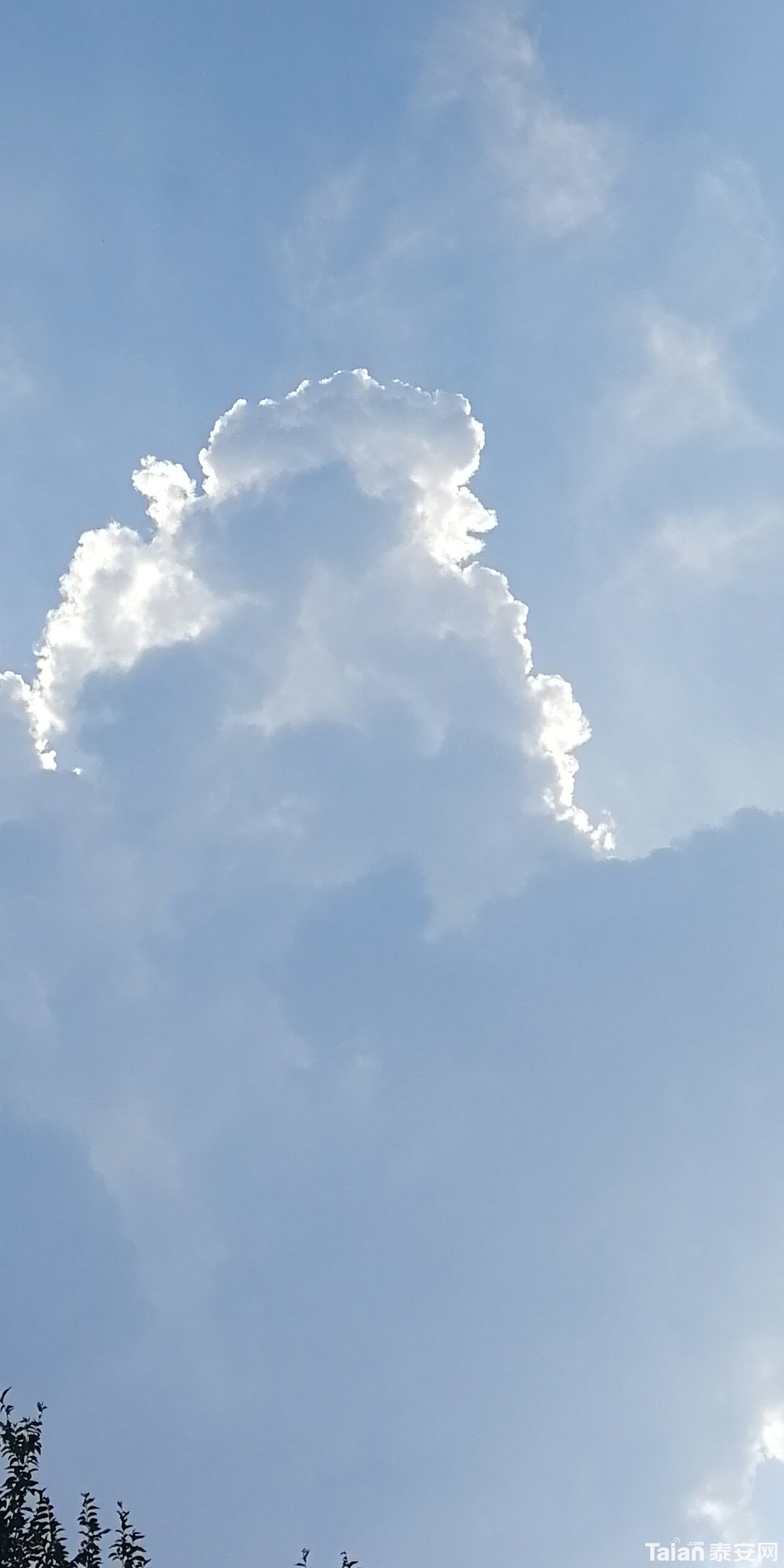 Screenshot_20190803_161545_com.android.gallery3d.jpg