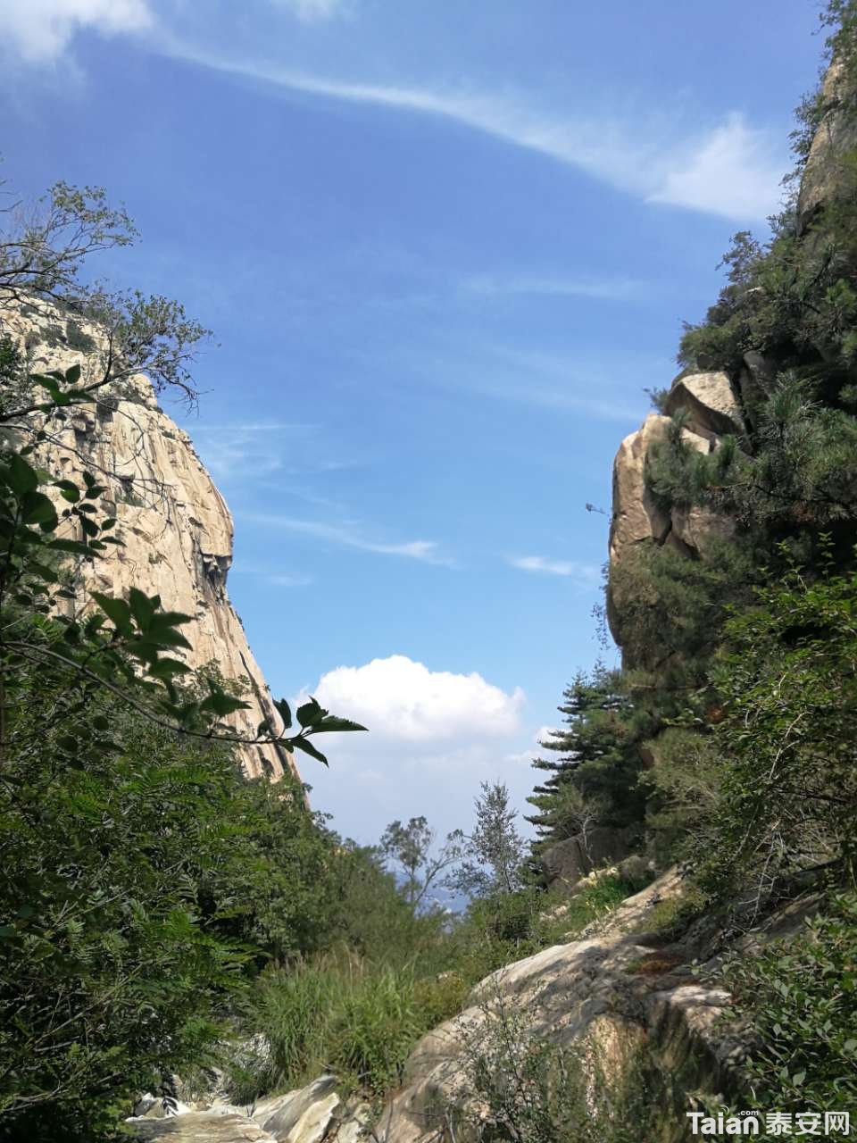 20190804_844987_1564909615748.jpg