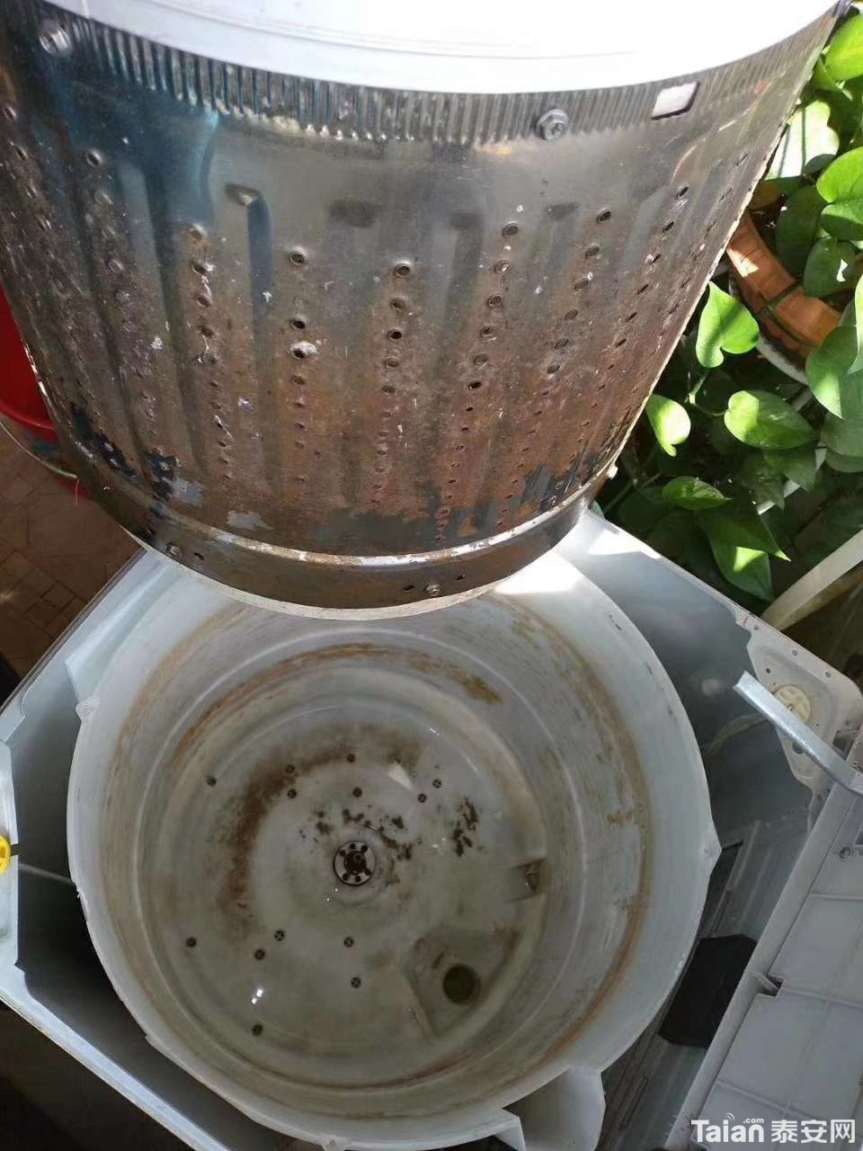20190808_893644_1565251371164.jpg