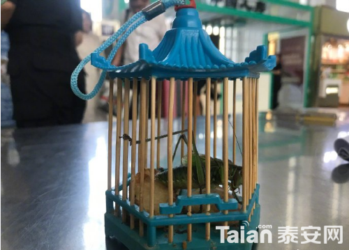 QQ��ͼ20190816100047.png