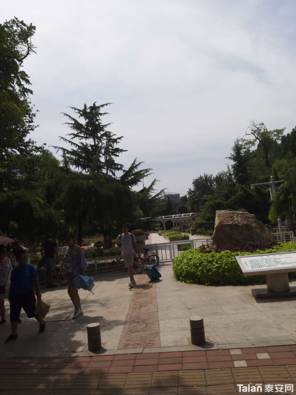 20190822_890937_1566470111091.jpg