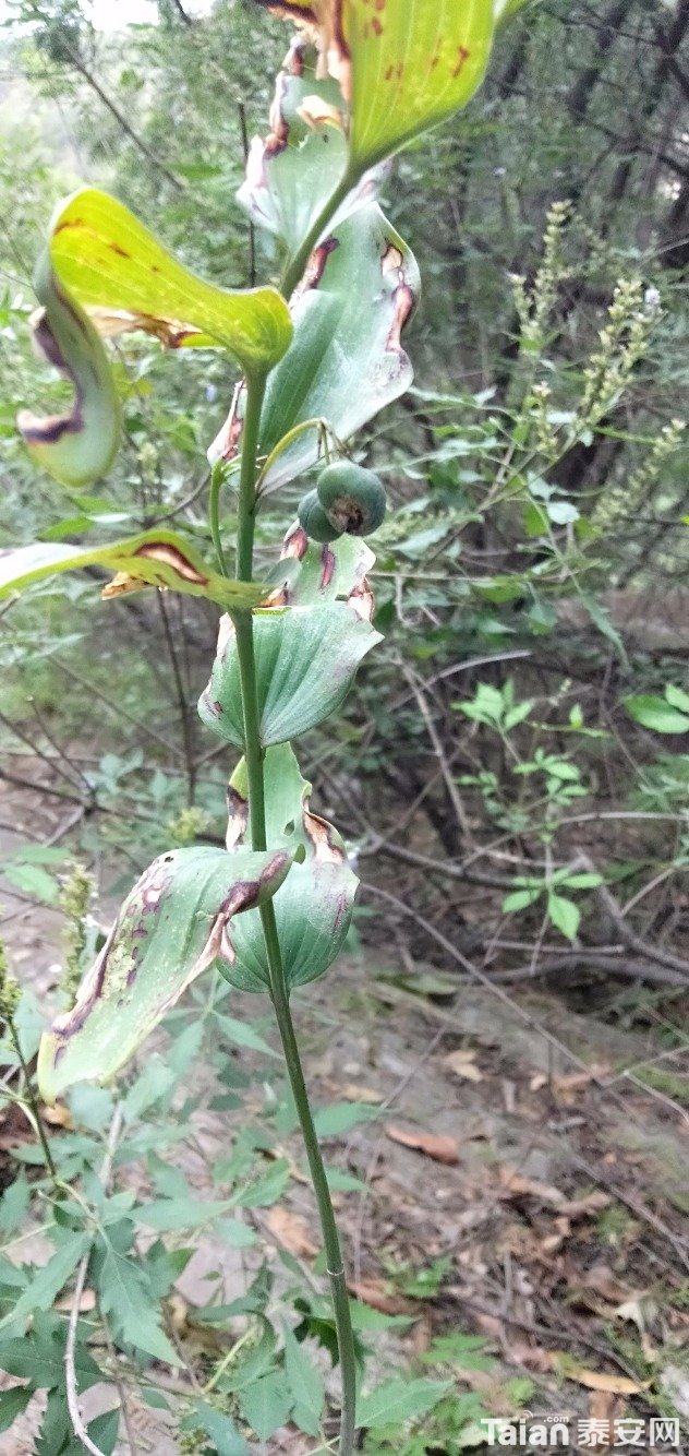 IMG20190822170828.jpg