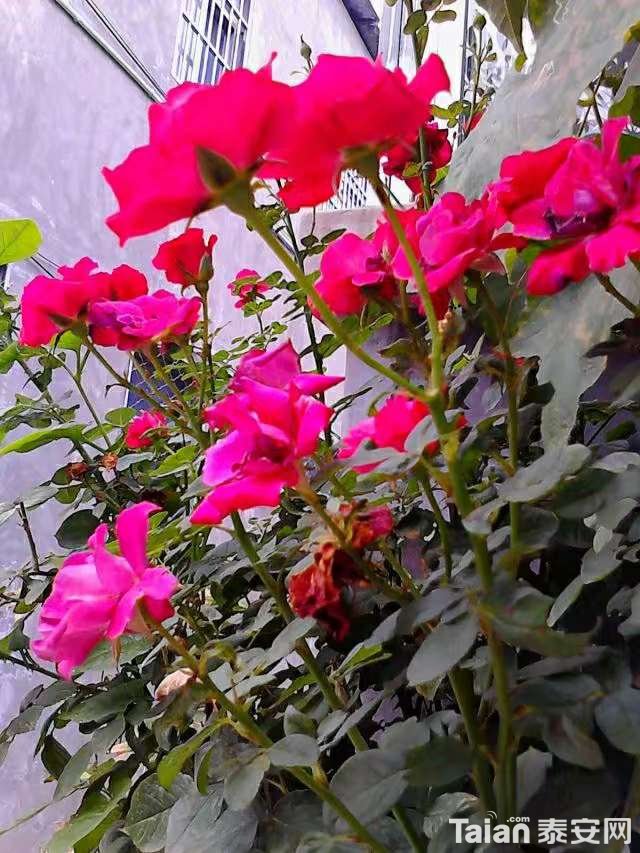 20190828_882721_1566955895888.jpg