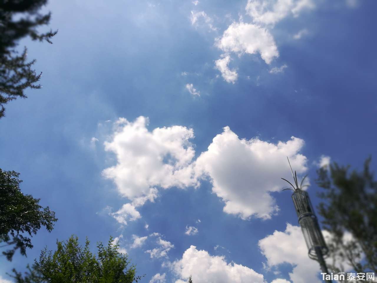 20190830_873967_1567154724540.jpg