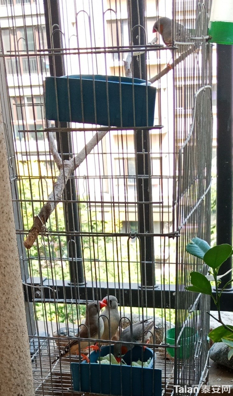 IMG_20190907_101247.jpg