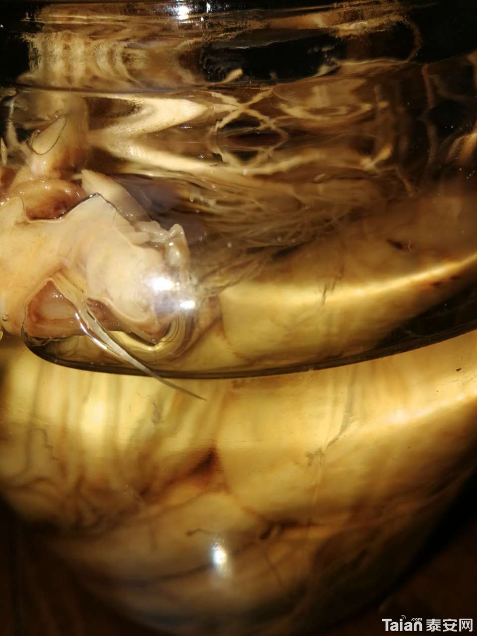 20191020_844987_1571566533068.jpg