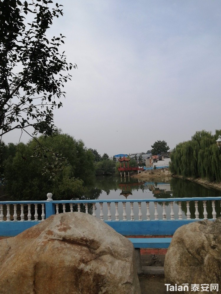 IMG_20191012_103558.jpg