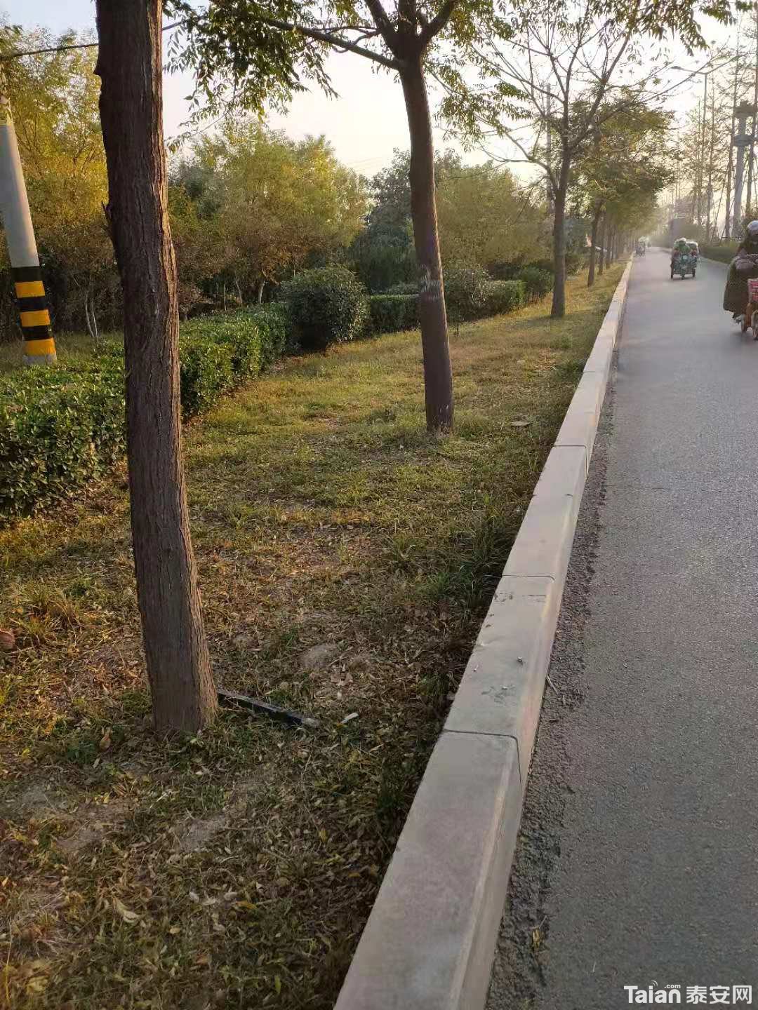 ΢��ͼƬ_20191027114318.jpg