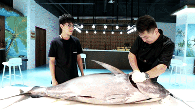 20191030_844987_1572429524753.gif