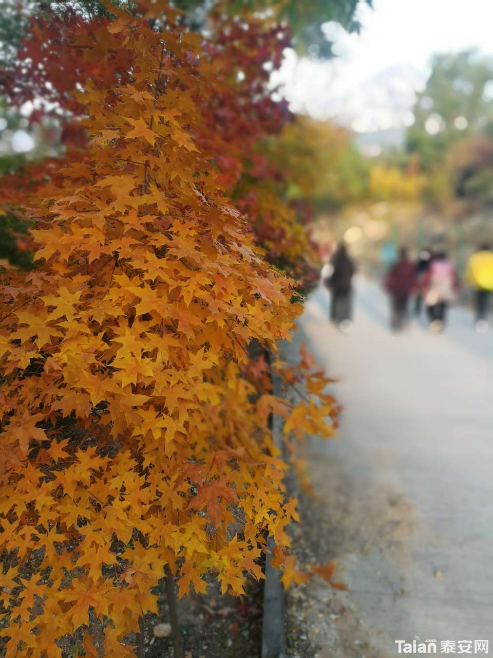 20191101_873967_1572569604708.jpg