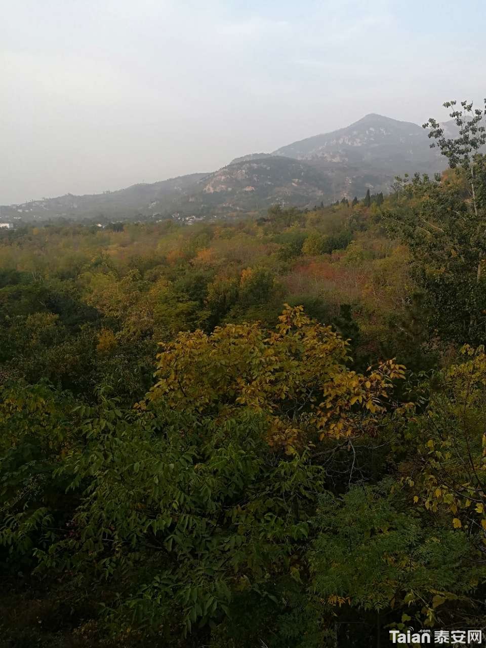 20191101_873967_1572569605447.jpg