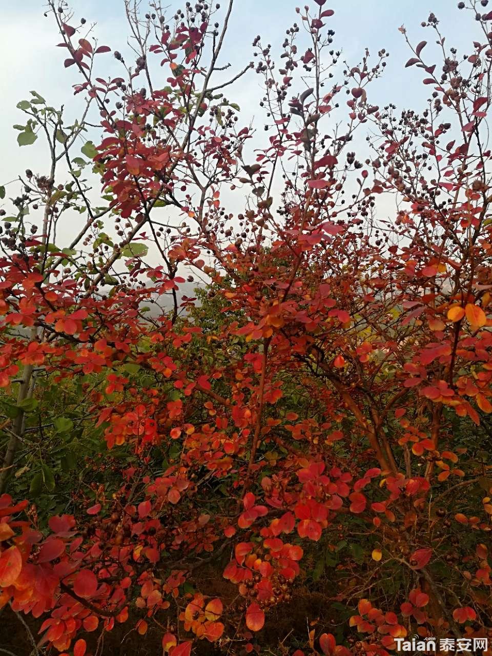 20191101_873967_1572569606822.jpg