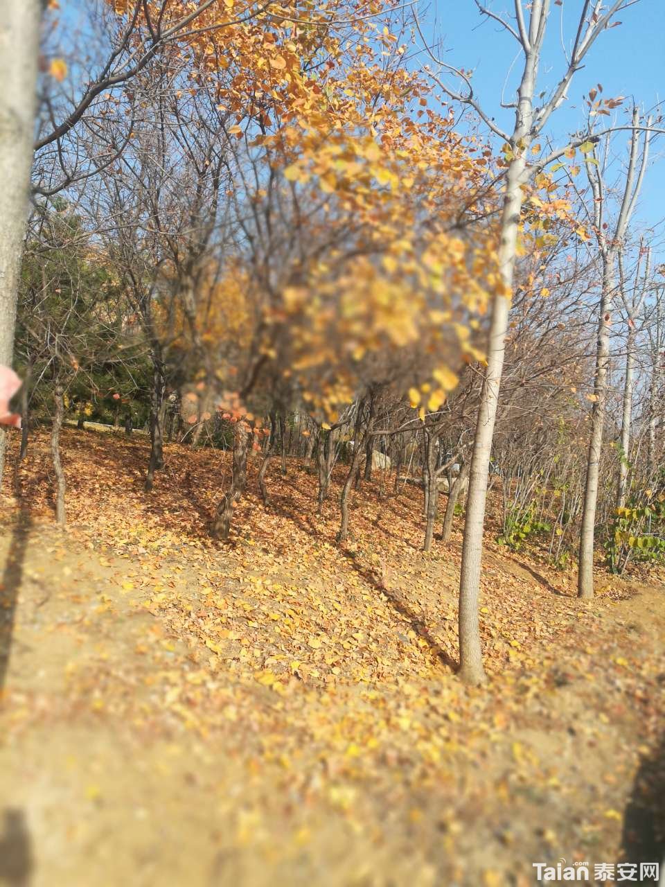 20191119_873967_1574131077493.jpg