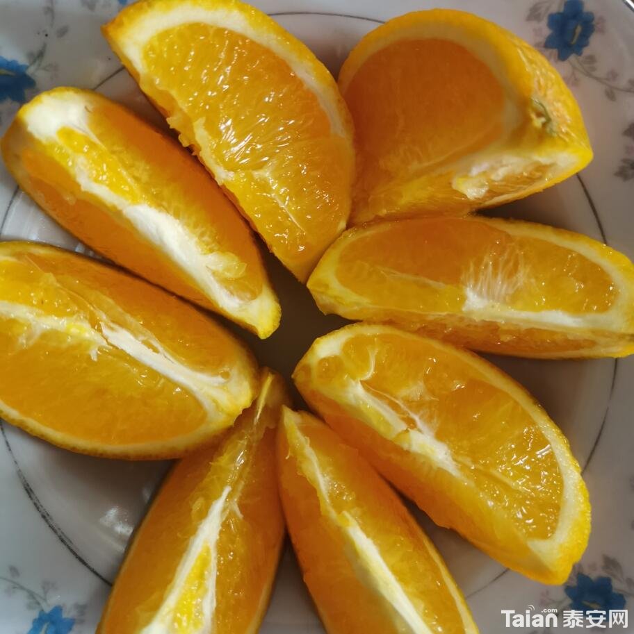 ����ɿ�