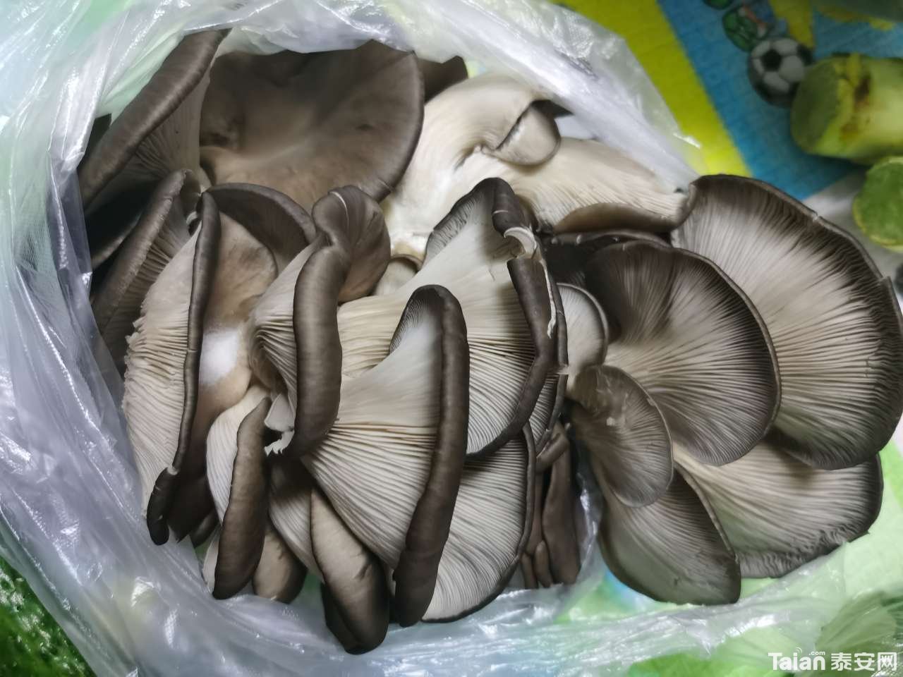 20191223_531426_1577**28523.jpg