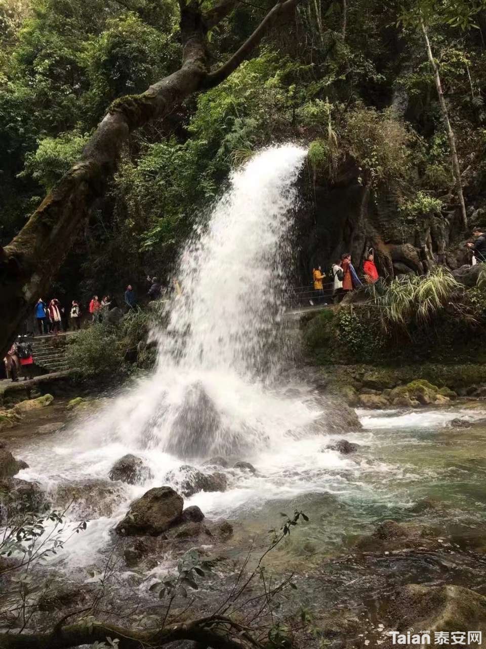 20191224_873967_1577184958341.jpg
