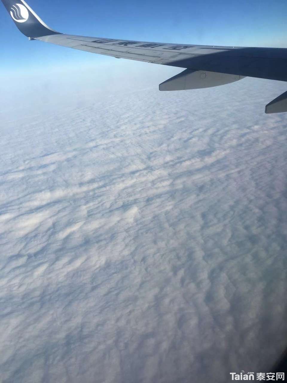 20191224_873967_1577185669944.jpg