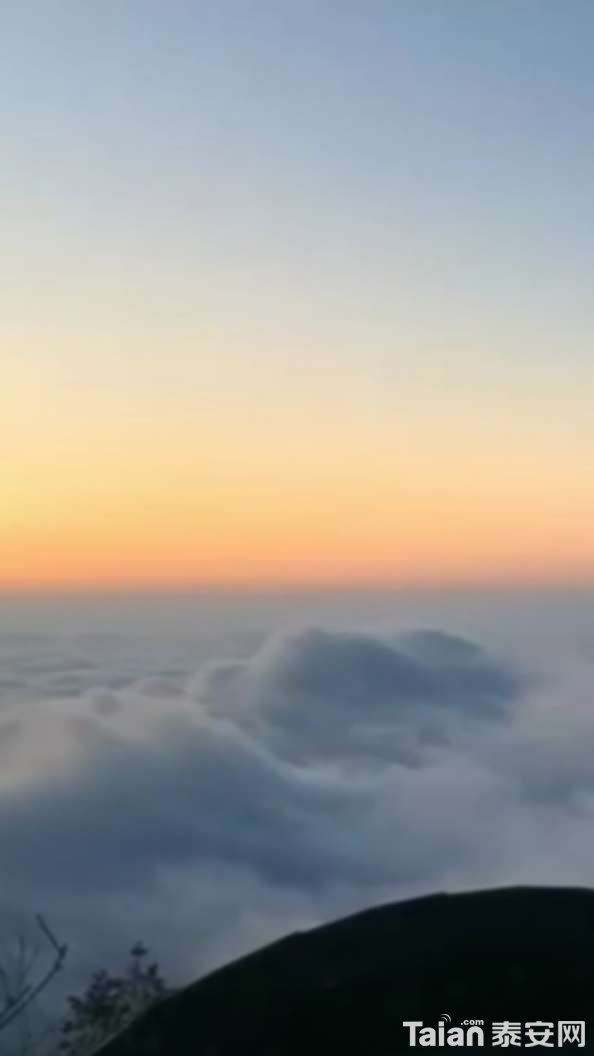 20191225_873967_1577255358924.jpg