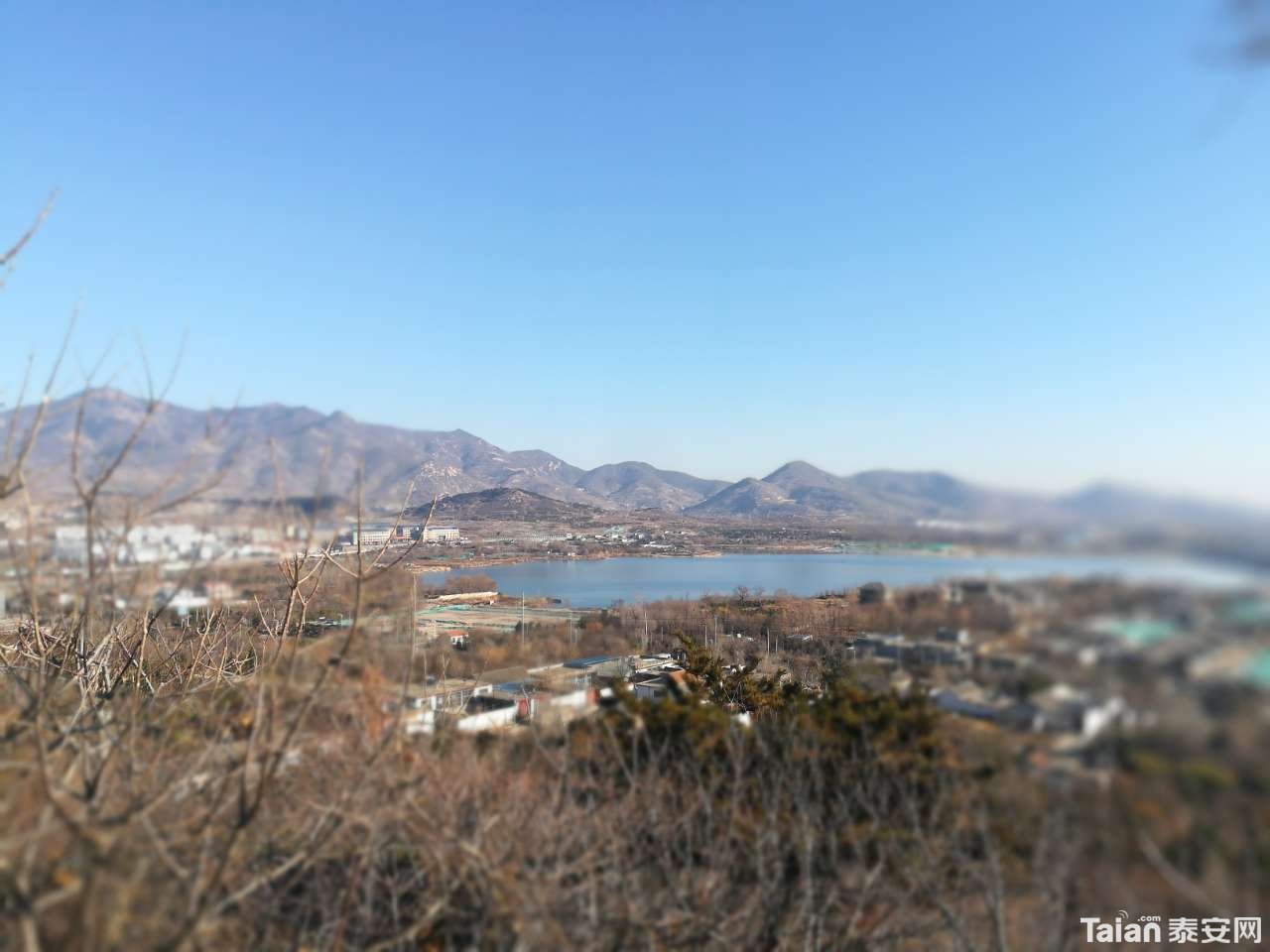 20191231_873967_1577765150482.jpg