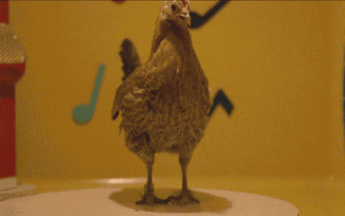 20200111_844987_1578737912170.gif