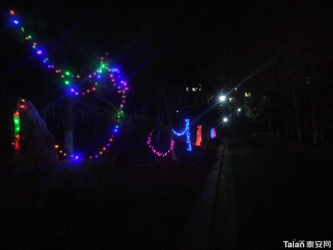 20200112_873967_1578838420826.jpg