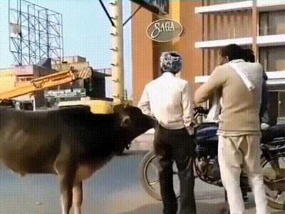 20200216_844987_1581820039977.gif